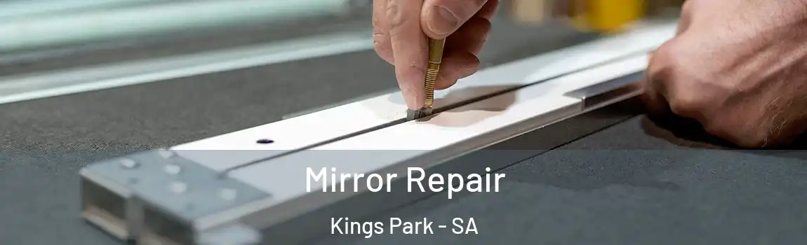 Mirror Repair Kings Park - SA
