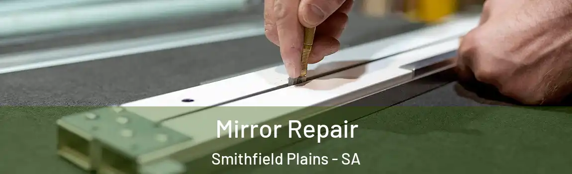  Mirror Repair Smithfield Plains - SA
