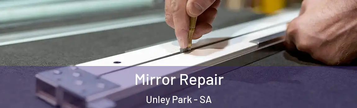 Mirror Repair Unley Park - SA