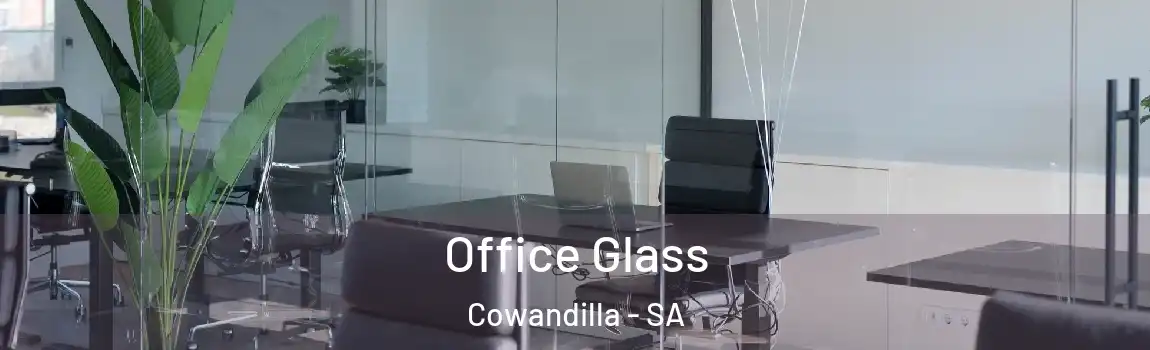 Office Glass Cowandilla - SA