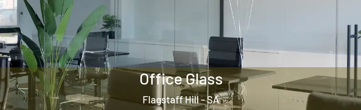 Office Glass Flagstaff Hill - SA