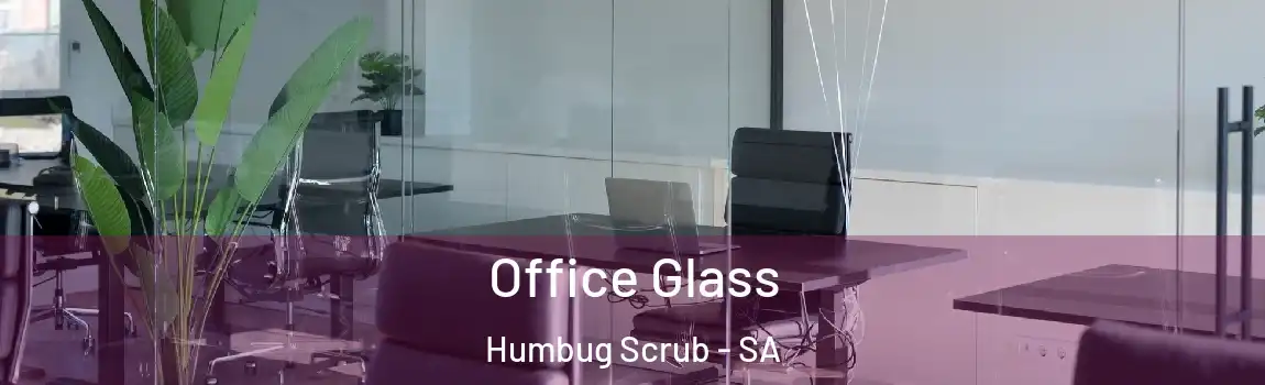  Office Glass Humbug Scrub - SA