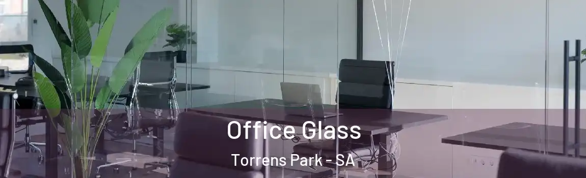 Office Glass Torrens Park - SA