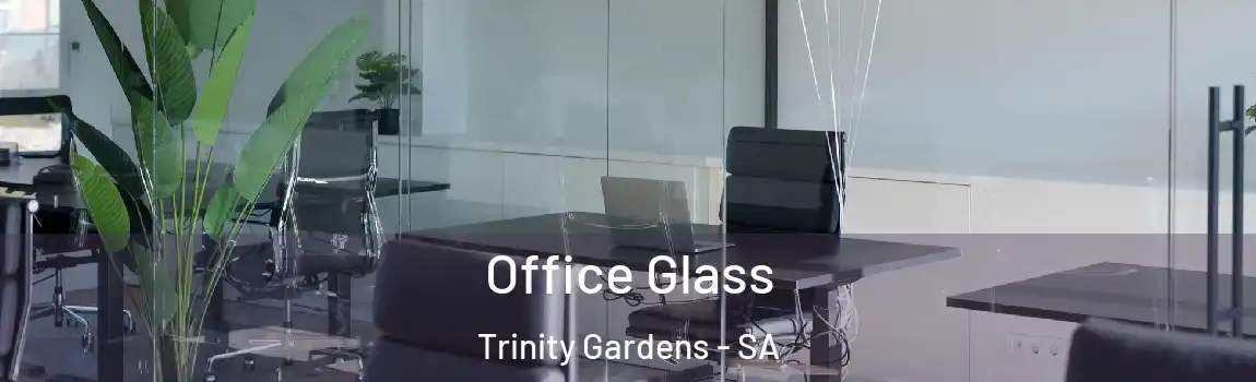  Office Glass Trinity Gardens - SA