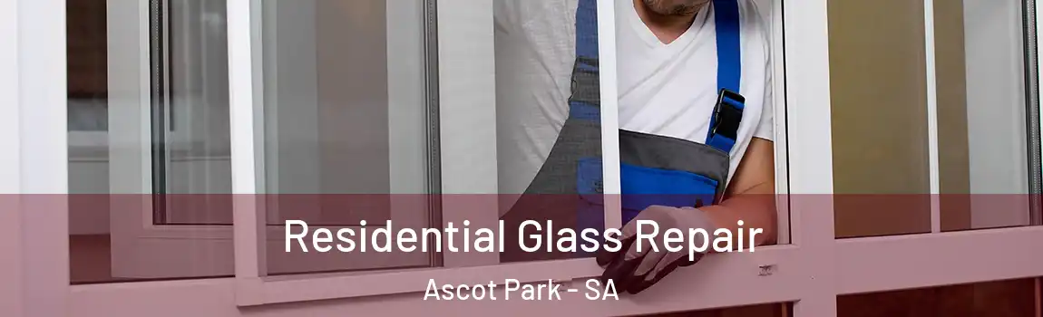Residential Glass Repair Ascot Park - SA