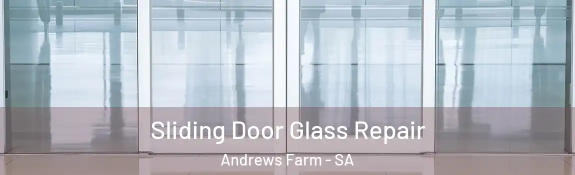 Sliding Door Glass Repair Andrews Farm - SA