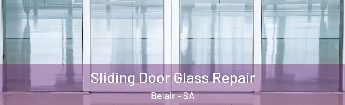  Sliding Door Glass Repair Belair - SA