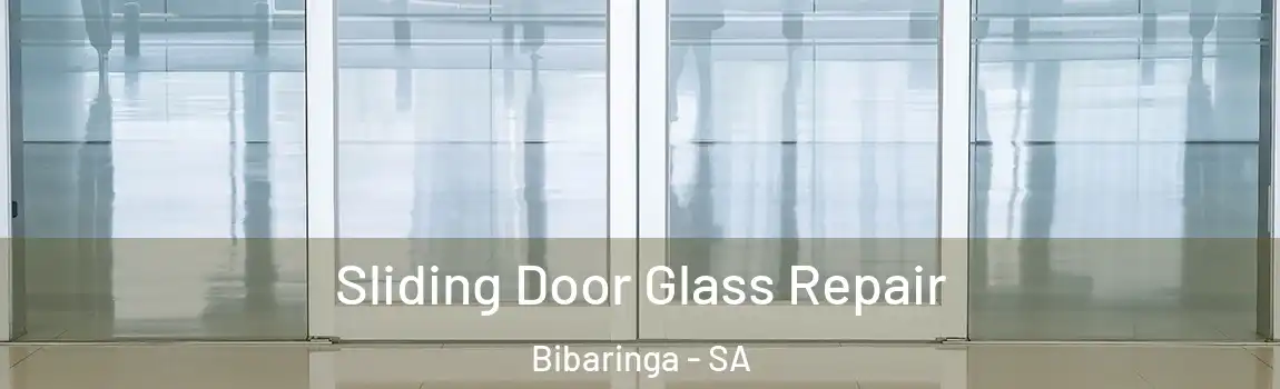 Sliding Door Glass Repair Bibaringa - SA