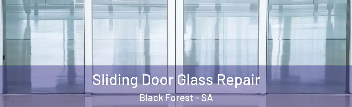  Sliding Door Glass Repair Black Forest - SA