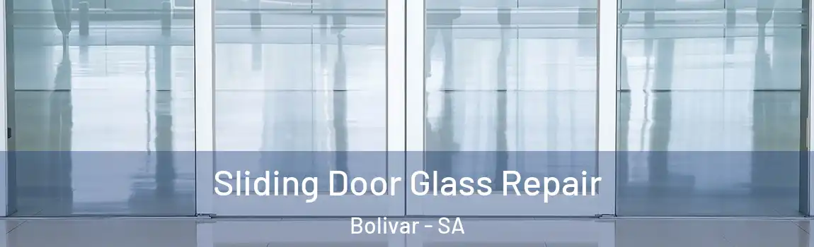  Sliding Door Glass Repair Bolivar - SA