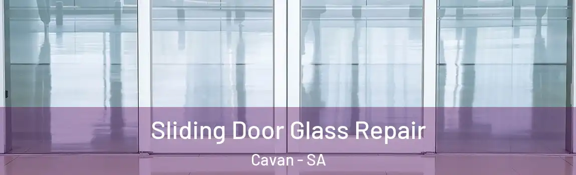 Sliding Door Glass Repair Cavan - SA