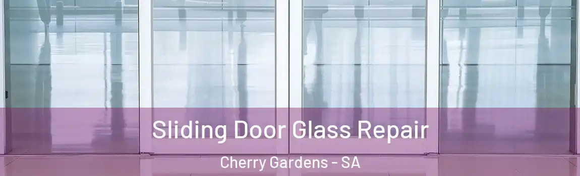 Sliding Door Glass Repair Cherry Gardens - SA