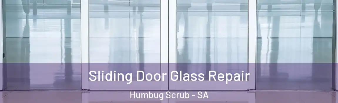 Sliding Door Glass Repair Humbug Scrub - SA