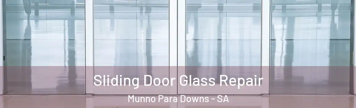 Sliding Door Glass Repair Munno Para Downs - SA