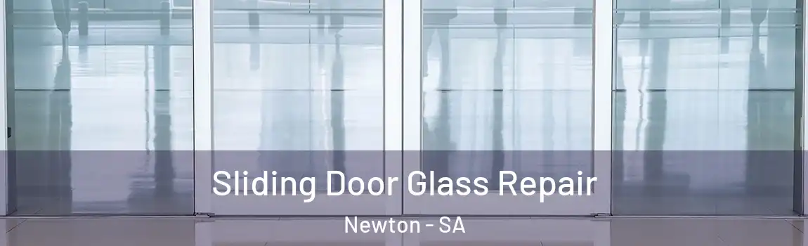 Sliding Door Glass Repair Newton - SA