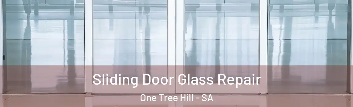 Sliding Door Glass Repair One Tree Hill - SA