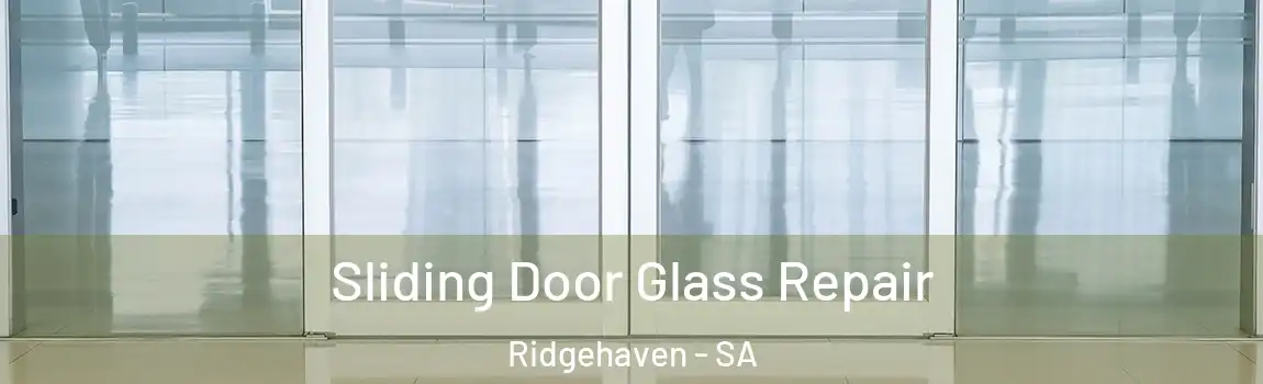 Sliding Door Glass Repair Ridgehaven - SA