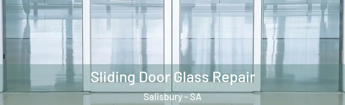  Sliding Door Glass Repair Salisbury - SA