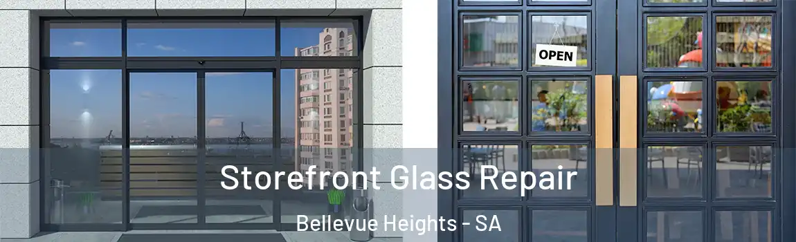 Storefront Glass Repair Bellevue Heights - SA