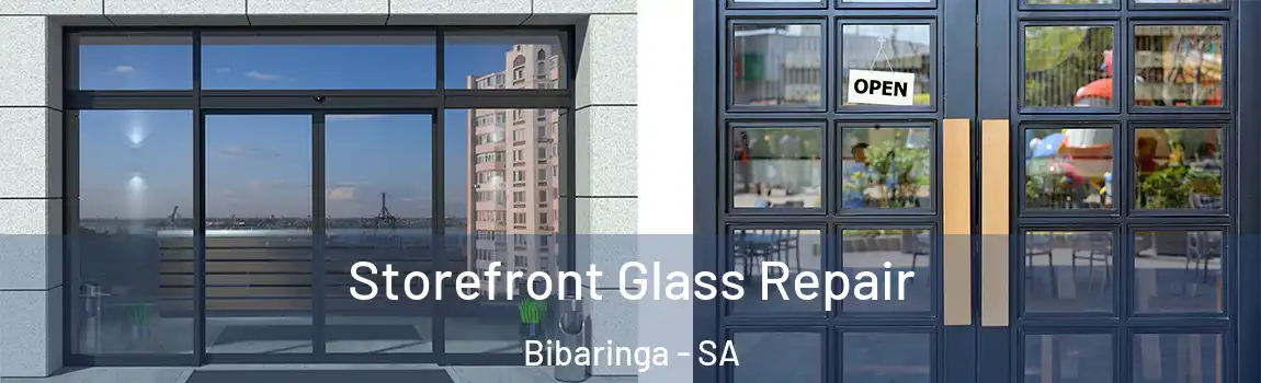 Storefront Glass Repair Bibaringa - SA