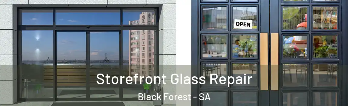 Storefront Glass Repair Black Forest - SA