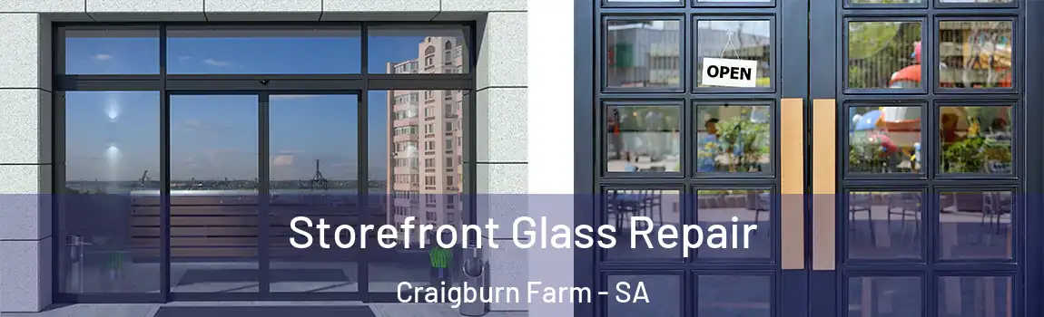  Storefront Glass Repair Craigburn Farm - SA