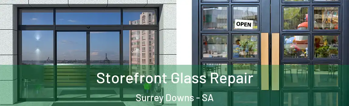 Storefront Glass Repair Surrey Downs - SA