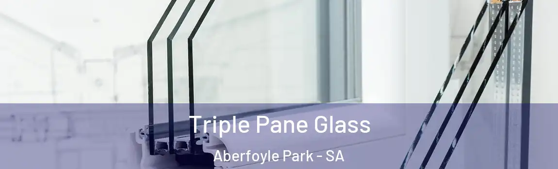 Triple Pane Glass Aberfoyle Park - SA