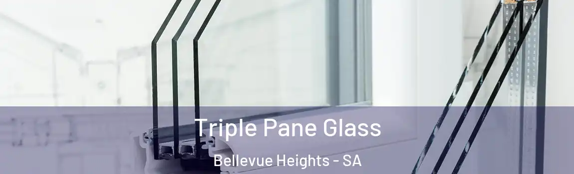 Triple Pane Glass Bellevue Heights - SA
