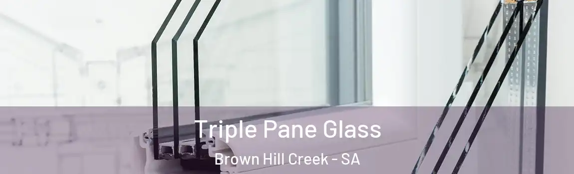 Triple Pane Glass Brown Hill Creek - SA