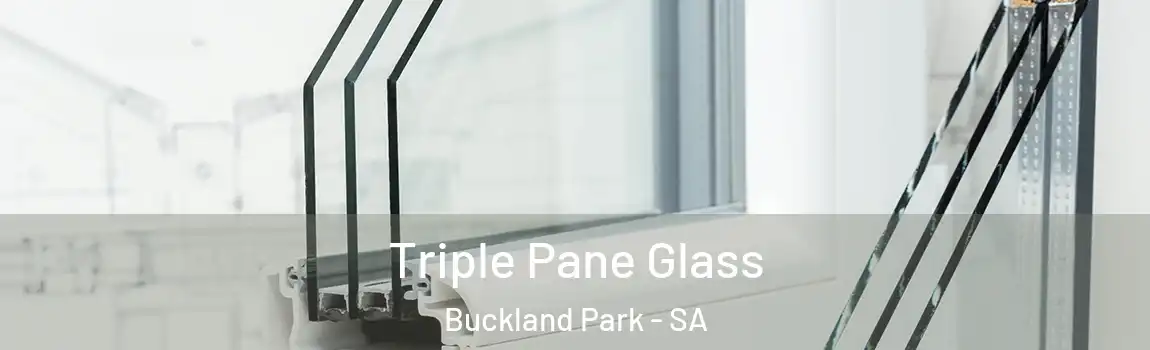  Triple Pane Glass Buckland Park - SA