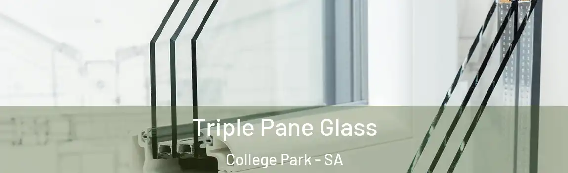 Triple Pane Glass College Park - SA