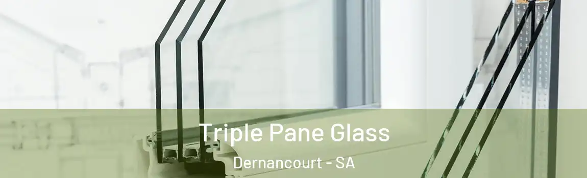  Triple Pane Glass Dernancourt - SA