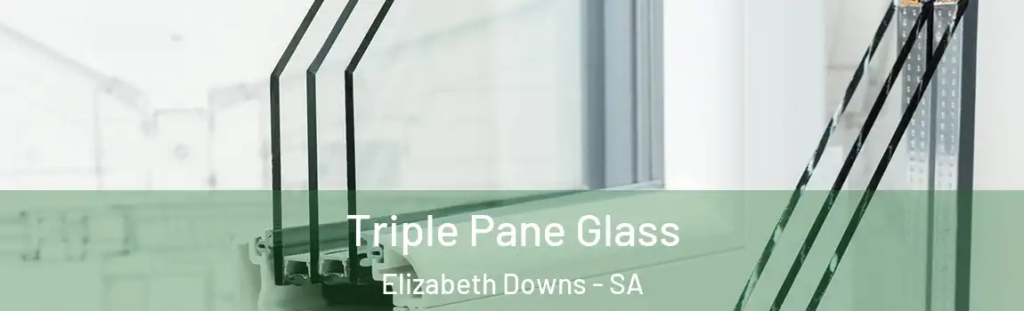  Triple Pane Glass Elizabeth Downs - SA