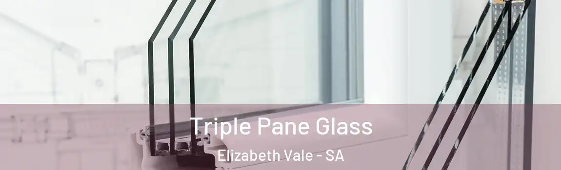 Triple Pane Glass Elizabeth Vale - SA