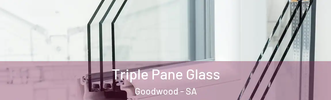 Triple Pane Glass Goodwood - SA