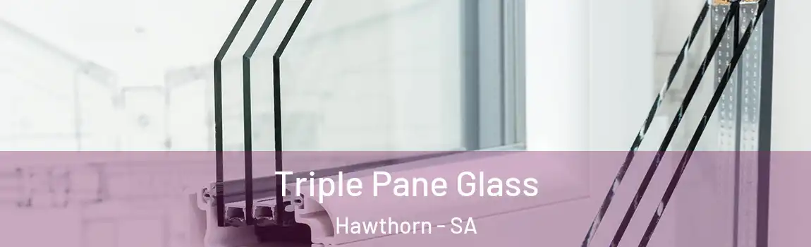 Triple Pane Glass Hawthorn - SA
