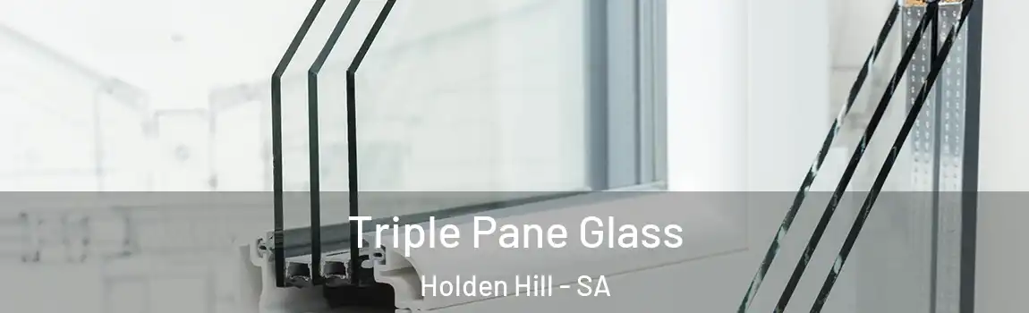  Triple Pane Glass Holden Hill - SA