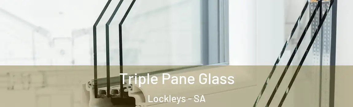  Triple Pane Glass Lockleys - SA