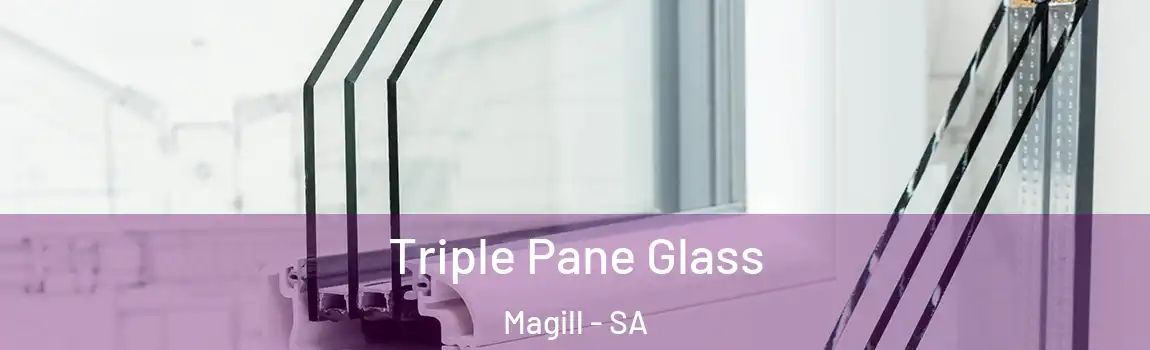 Triple Pane Glass Magill - SA