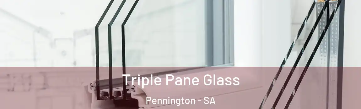 Triple Pane Glass Pennington - SA