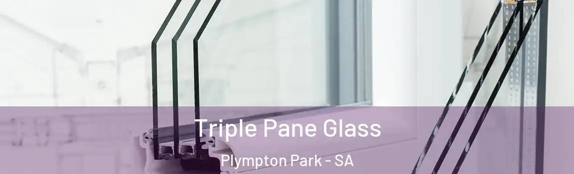 Triple Pane Glass Plympton Park - SA