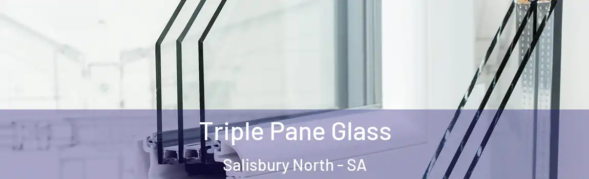 Triple Pane Glass Salisbury North - SA