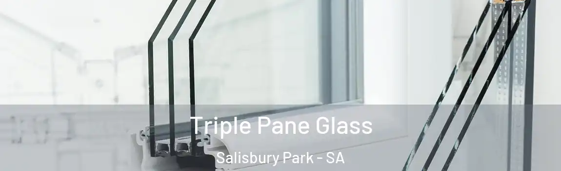 Triple Pane Glass Salisbury Park - SA