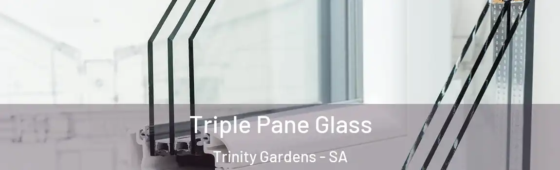  Triple Pane Glass Trinity Gardens - SA