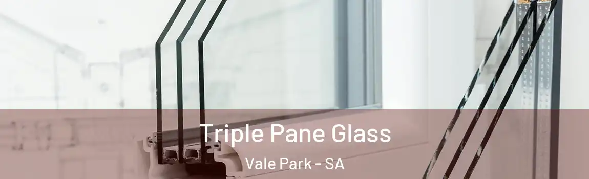 Triple Pane Glass Vale Park - SA