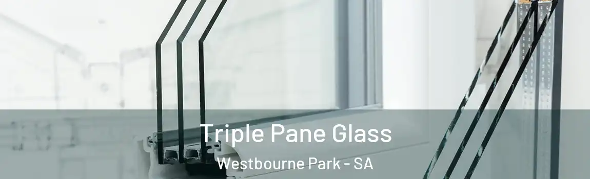 Triple Pane Glass Westbourne Park - SA