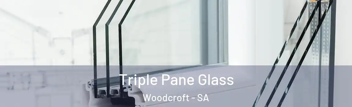 Triple Pane Glass Woodcroft - SA