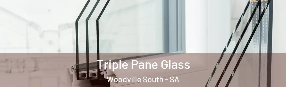 Triple Pane Glass Woodville South - SA