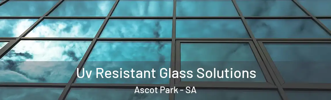 Uv Resistant Glass Solutions Ascot Park - SA